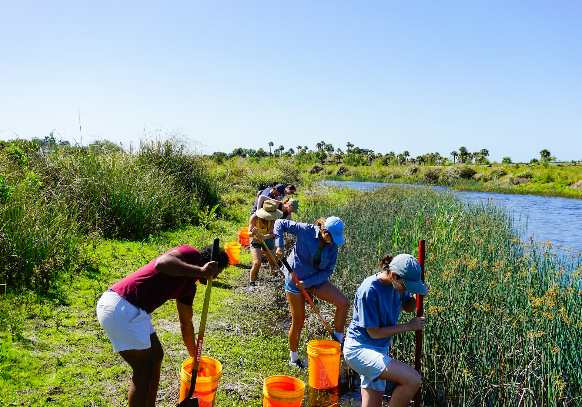 Volunteering on a nature restoration project
