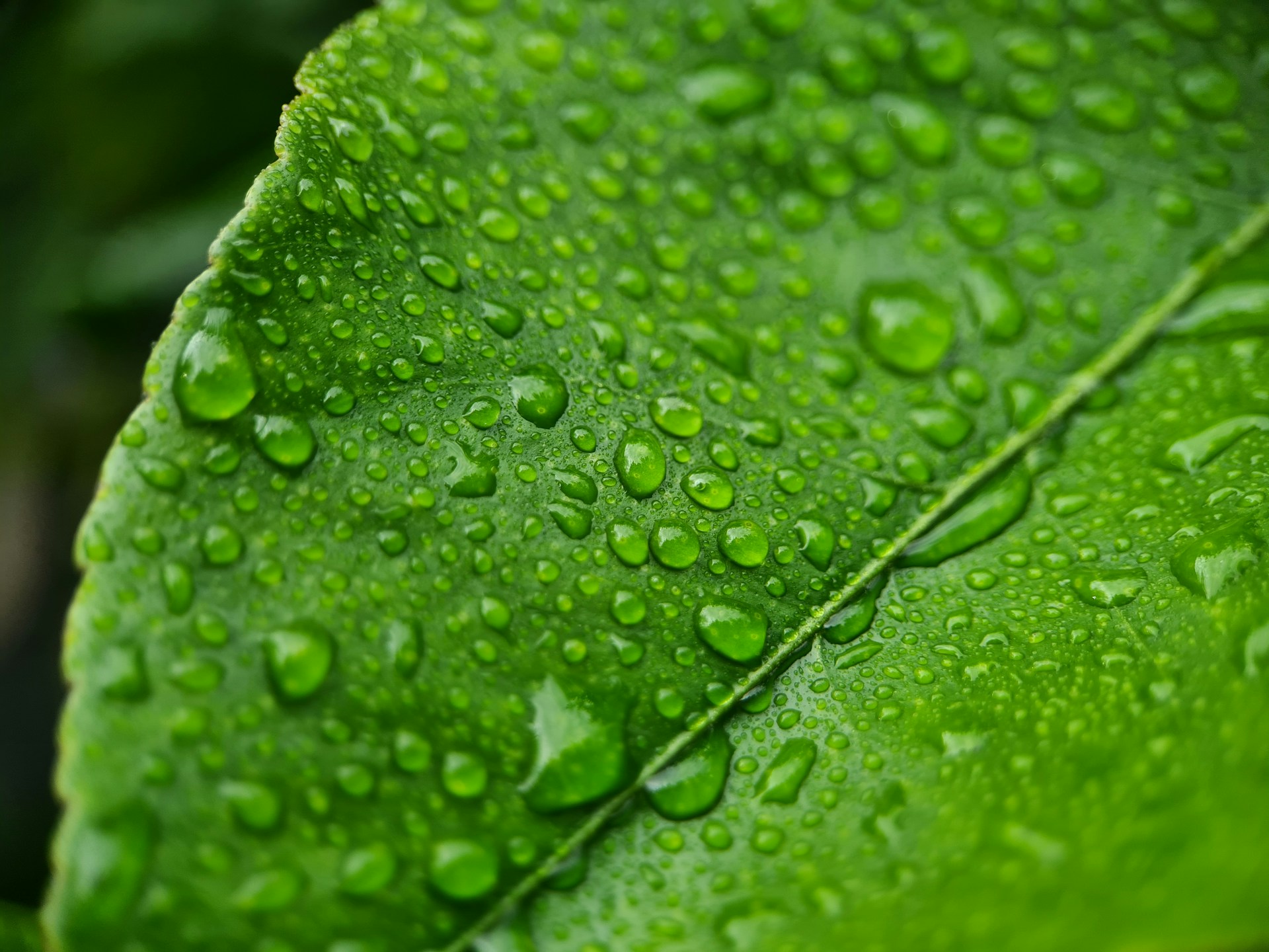 My copywriting translates complexity into clarity